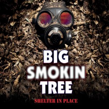 Big Smokin Tree - Shelter In Place (2019)