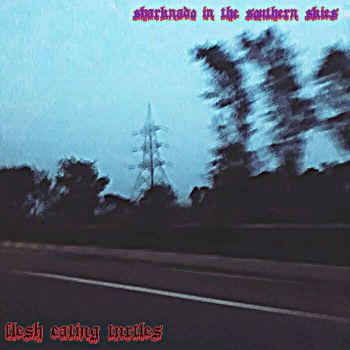 Flesh Eating Turtles - Sharknado in the Southern Skies (2019)