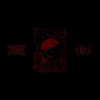 Porcha / Knuth - Split (2019)