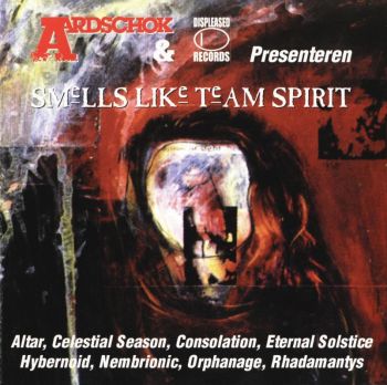 Various Artists - Smells Like Team Spirit (1995)