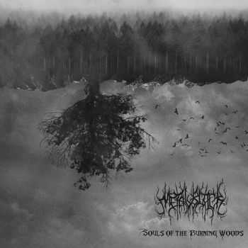 MetalBlack - Souls Of The Burning Woods (2019)