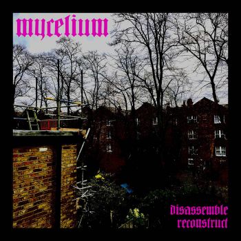 Mycelium - Disassemble Reconstruct (2019)