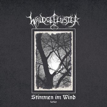 Waldgefluster - Stimmen im Wind (2020)