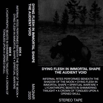 The Audient Void - Dying Flesh in Immortal Shape (2020)