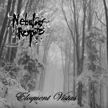 Nebulous Respite - Eloquent Vistas (2020)