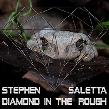 Stephen Saletta - Diamond In The Rough (2020)