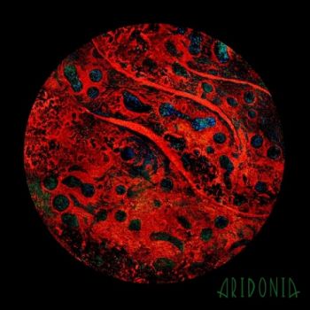 Aridonia - Aridonia (2020)