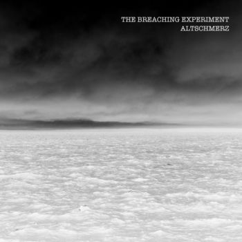 The Breaching Experiment - Altschmerz (2020)