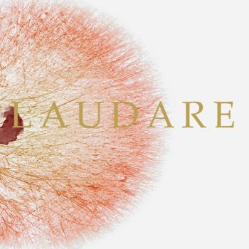 Laudare - Have Heart, Waste Flesh (2020)