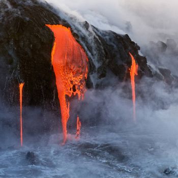O - Antropocene (2020)