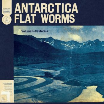 Flat Worms - Antarctica (2020)