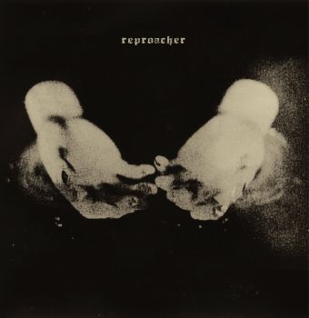 Reproacher - Nothing To Save (2013)