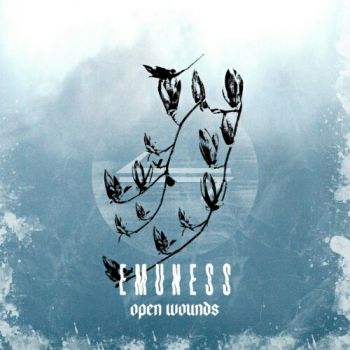 Emuness - Open Wounds (2020)