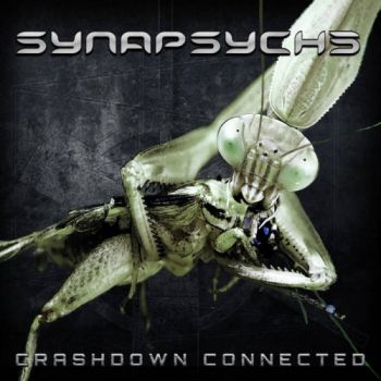 Synapsyche - Crashdown Connected (2014)