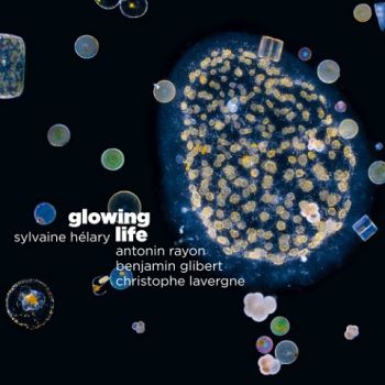 Sylvaine Helary - Glowing Life (2020)