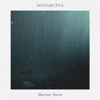 Novarupta - Marine Snow (2020)