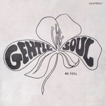 Mr Peel - Gentle Soul (2020)