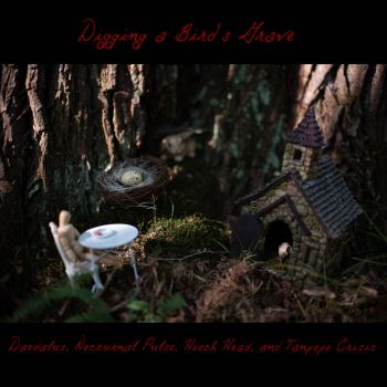 Daedalus / Nocturnal Pulse / Hooch Head / Tanpopo Crisis - Digging a Bird's Grave (2020)