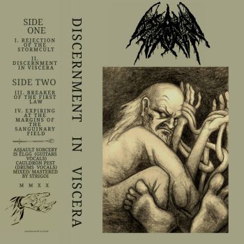 Assault Sorcery - Discernment in Viscera (2020)