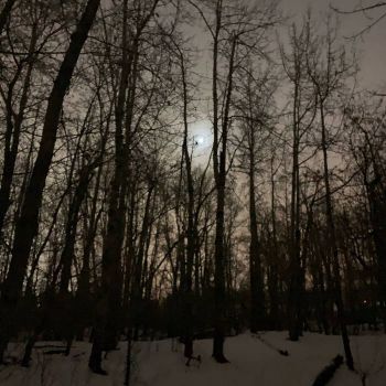 Blackestwinterblack - Theblackestwinterblack (2021)