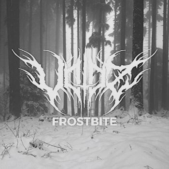 Voidz - Frostbite (2021)