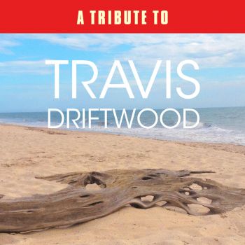 Simon Johnson - A Tribute to Travis Driftwood (2015)