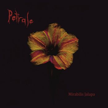 Petrale - Mirabilis Jalapa (2021)