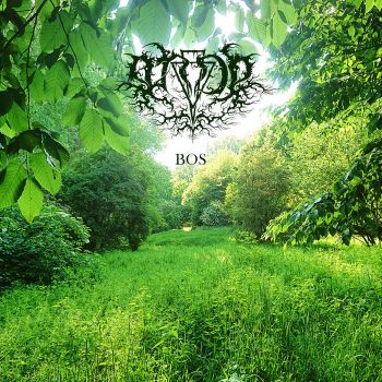 Ande - Bos (2021)