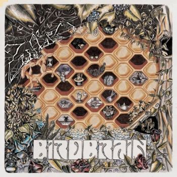 Zuffalo - Birdbrain (2021)
