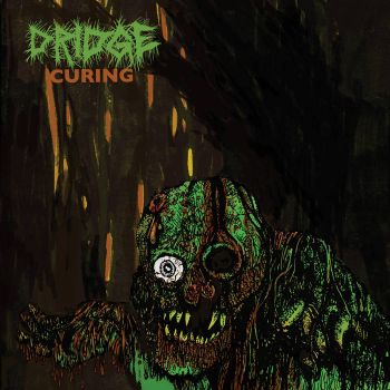 Dridge - Curing (2021)