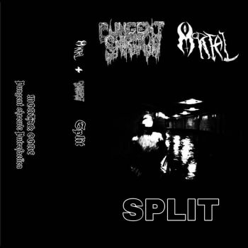 Mortal / Pungent Shroud - Split (2021)