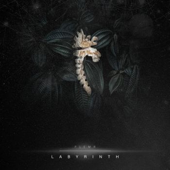 PLEM - Labyrinth (2021)