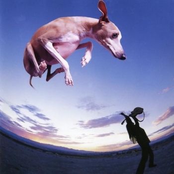 Paul Gilbert - Flying Dog (1998)