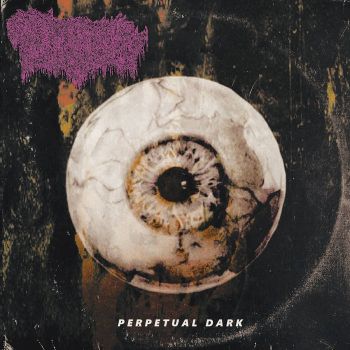 Cryptic Rising - Perpetual Dark (2023)