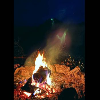 Self fleS - Safety Fire (2023)