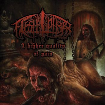 Fleshsphere - A Higher Quality of Pain (2023)