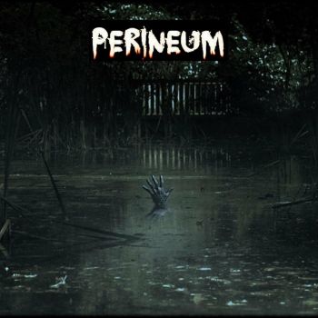 Perineum - Perineum (2020)