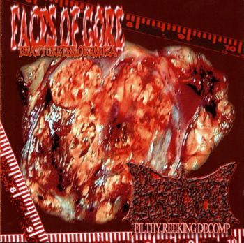Faces of Gore / Biocyst - Bradyurethrorrhoea / Filthy Reeking Decomp (2007)