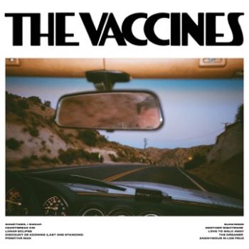 The Vaccines - Pick-Up Full Of Pink Carnations (2024)