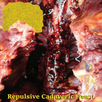 xAxHxDxAxRxCxBxFxExPxAxBxBxNx - Repulsive Cadaveric Feast (2024)