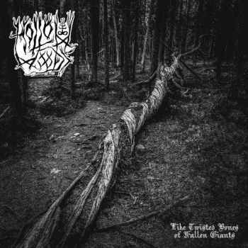 Hollow Woods - Like Twisted Bones Of Fallen Giants (2024)