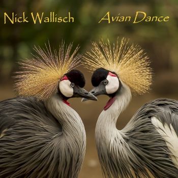 Nick Wallisch - Avian Dance (2024)