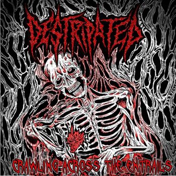 Destripated - Crawling Across the Entrails (2024)