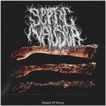 Septic Nausea - Stages of Decay (2024)