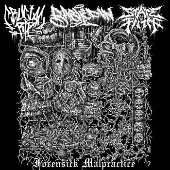 Crucial Rip / Bashed In / State of Filth - Forensick Malpractice (2024)