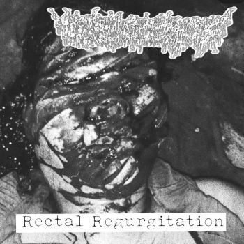 Myrmecophaga Tridactyla - Rectal Regurgitation (2025)