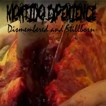 Mortido Experience - Dismembered and Stillborn (2024)