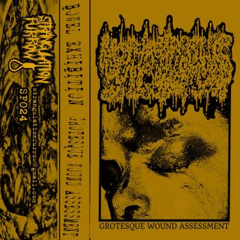 Bowel Exhibition - Grotesque Wound Assessment (2025)