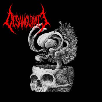 Desanguinate - Desanguinate (2025)