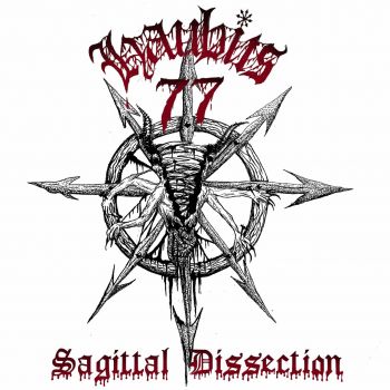 Haubits 77 - Sagital Dissection (2025)